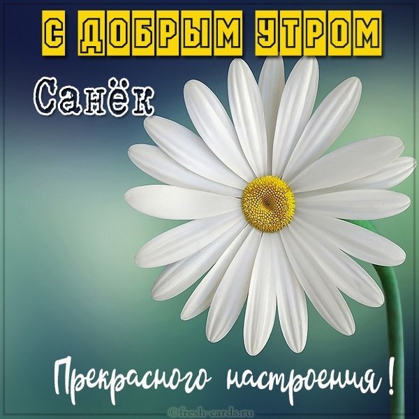 Картинка с добрым утром для Санька