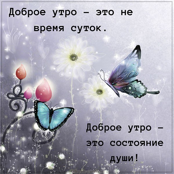 Картинка с добрым утром и позитивом афоризм