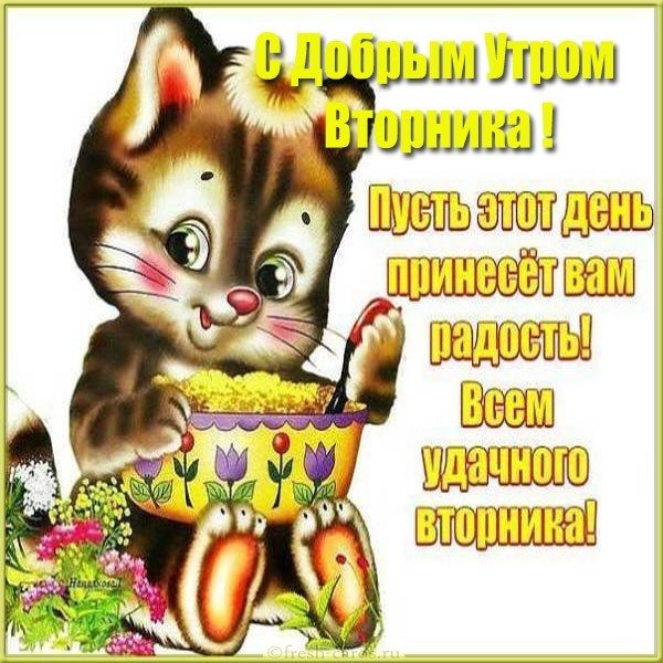 Картинка с добрым утром во вторник