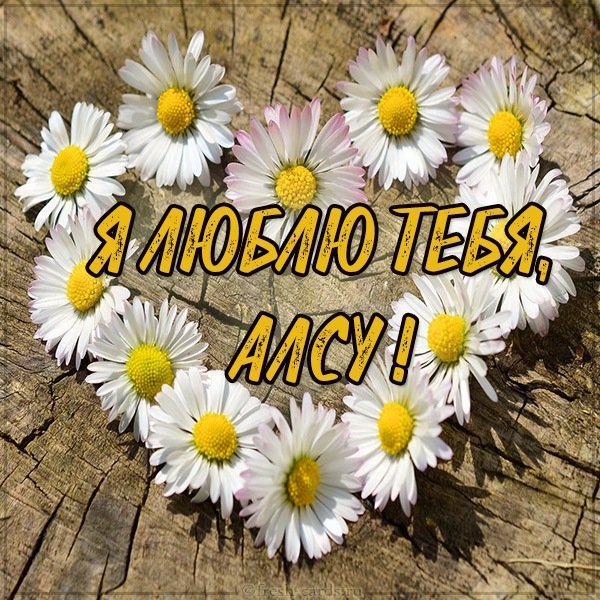Картинка с именем Алсу я тебя люблю