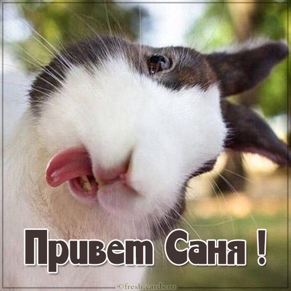 Картинка с именем Саня привет