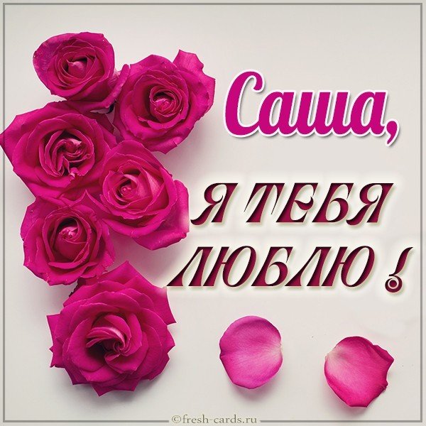 Картинка с именем Саша я тебя люблю
