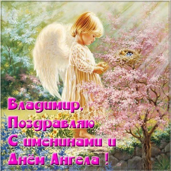 Картинка с именинами Владимир