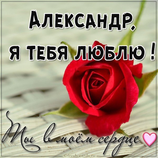 Картинка с надписью Александр я тебя люблю