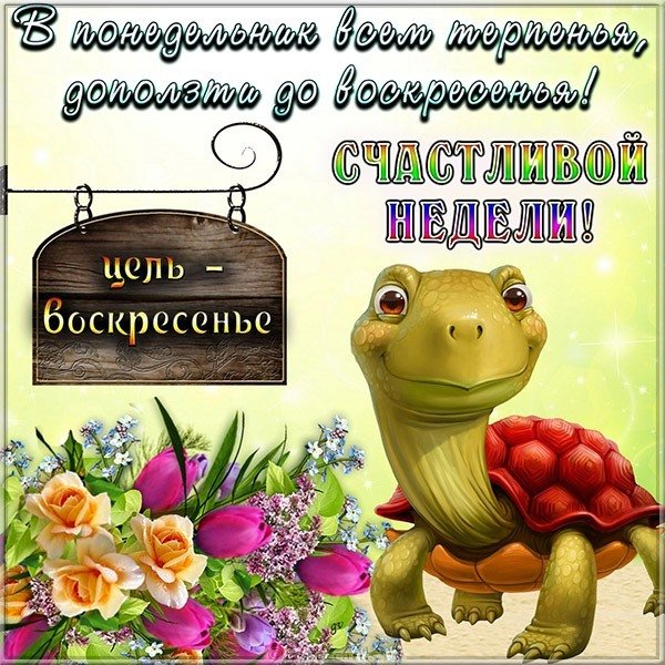 Картинка с понедельником и удачной недели смешная