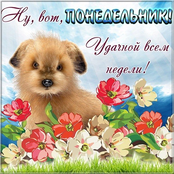Картинка с понедельником и удачной недели