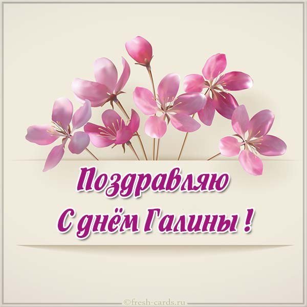 Картинка с поздравлением с днем Галины