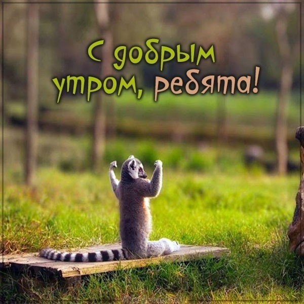 Картинка с приколом доброе утро ребята