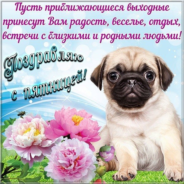 Картинка с пятницей вас