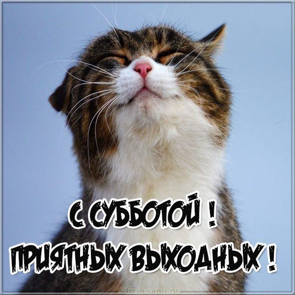 Картинка с субботой приятных выходных прикольная
