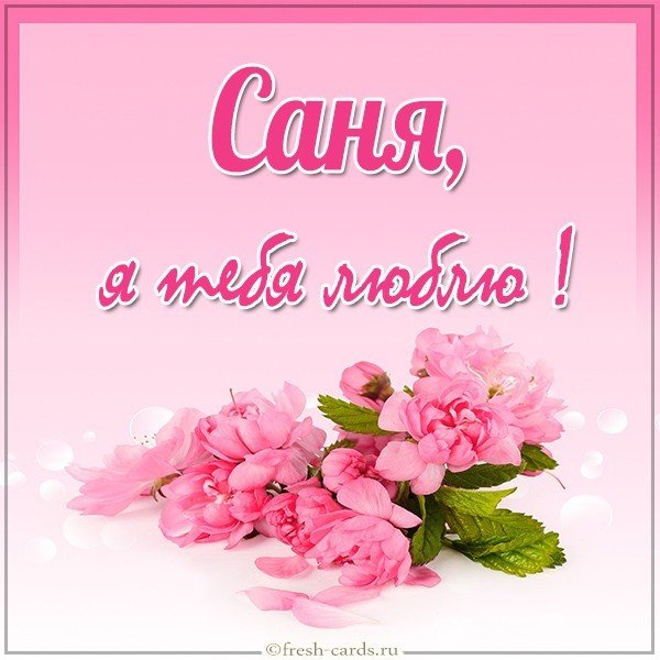 Картинка Саня я тебя люблю