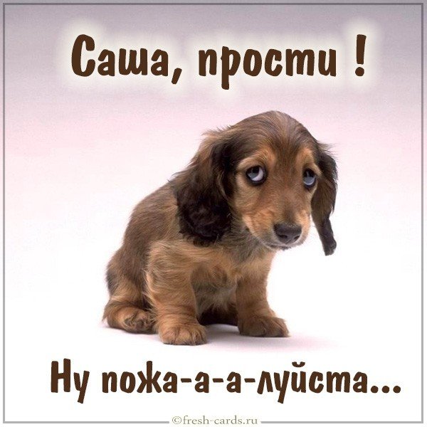 Картинка Саша прости