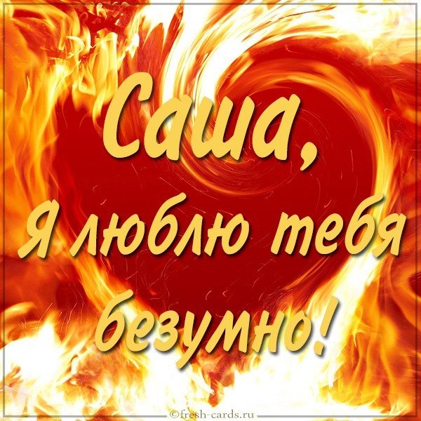 Картинка Саша я люблю тебя безумно