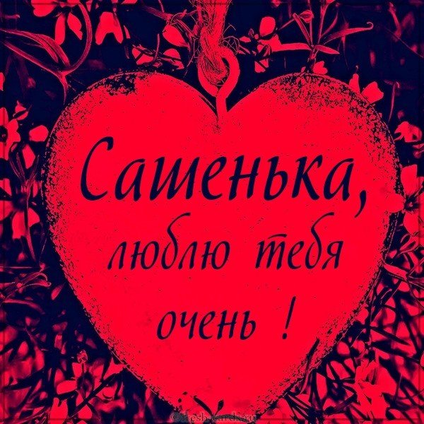 Картинка Сашенька люблю тебя очень