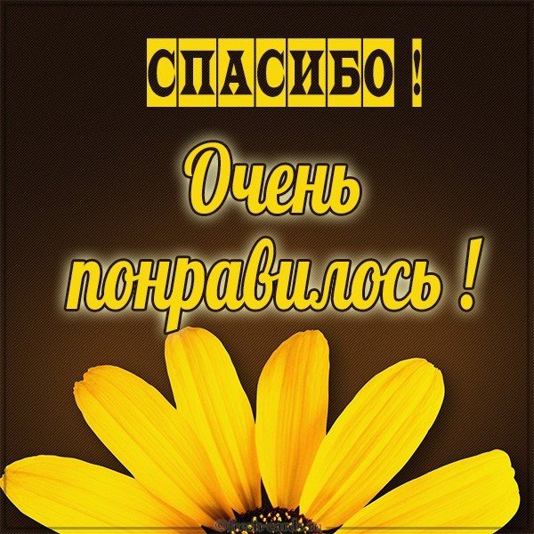 Картинка со словами спасибо очень понравилось
