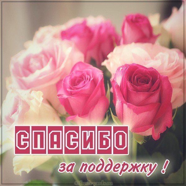 Картинка со словами спасибо за поддержку