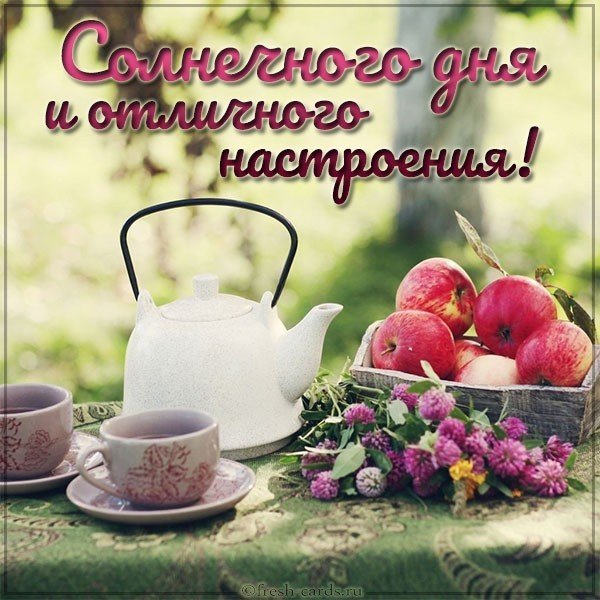 Картинка солнечного дня и отличного настроения