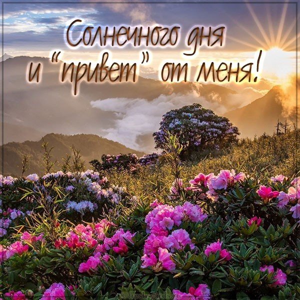 Картинка солнечного дня и привет от меня