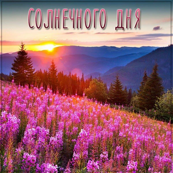 Картинка солнечного дня