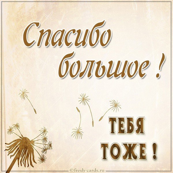 Картинка спасибо большое тебя тоже