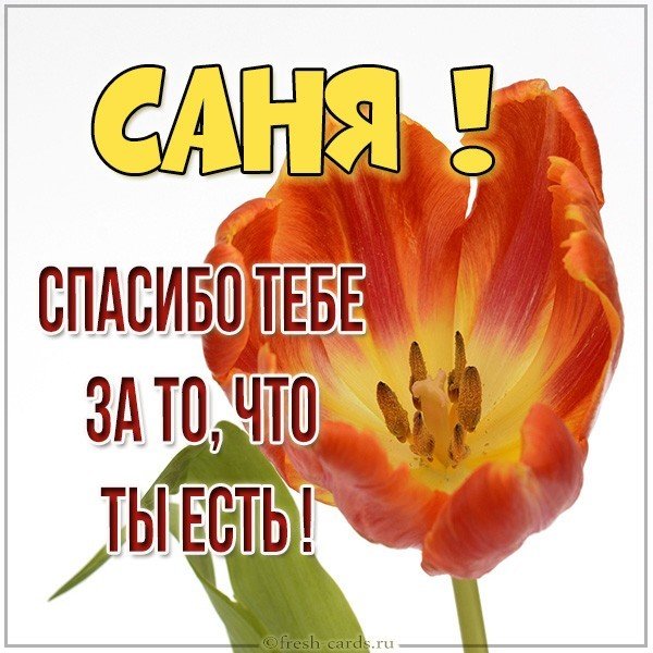 Картинка спасибо что ты есть Саня