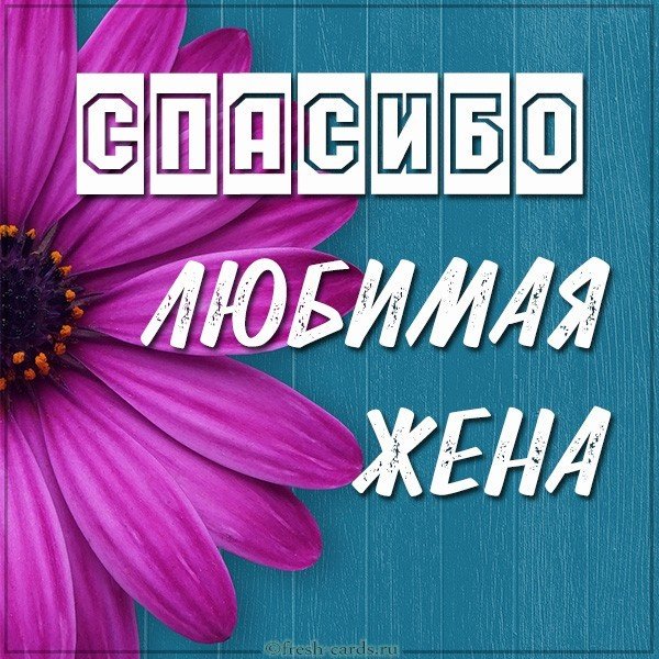 Картинка спасибо любимая жена