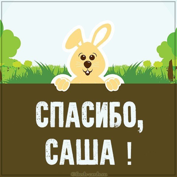 Картинка спасибо Саша