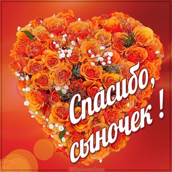 Картинка спасибо сыночек