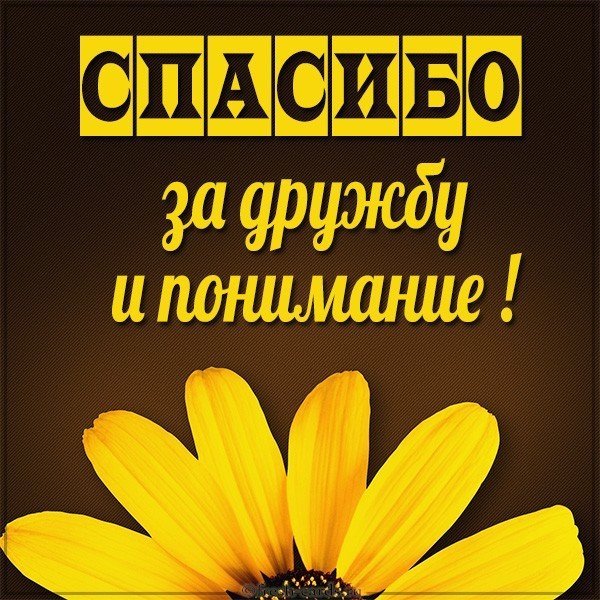 Картинка спасибо за дружбу и понимание