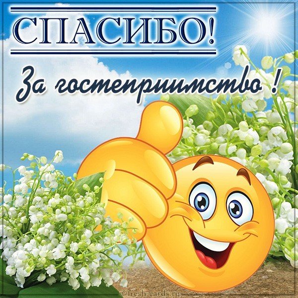 Картинка спасибо за гостеприимство