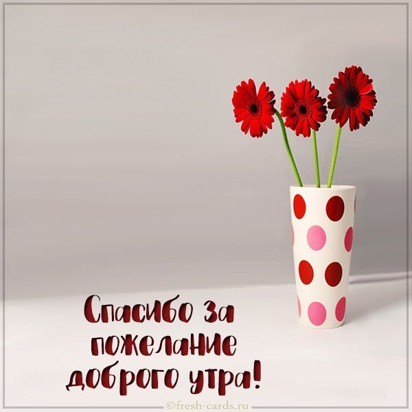 Картинка спасибо за пожелание доброго утра