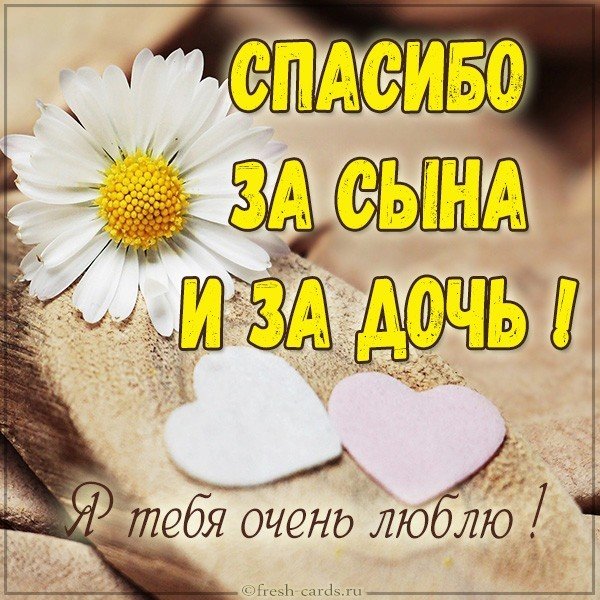 Картинка спасибо за сына спасибо за дочь