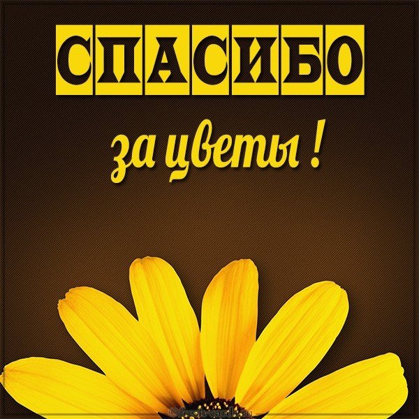 Картинка спасибо за цветы