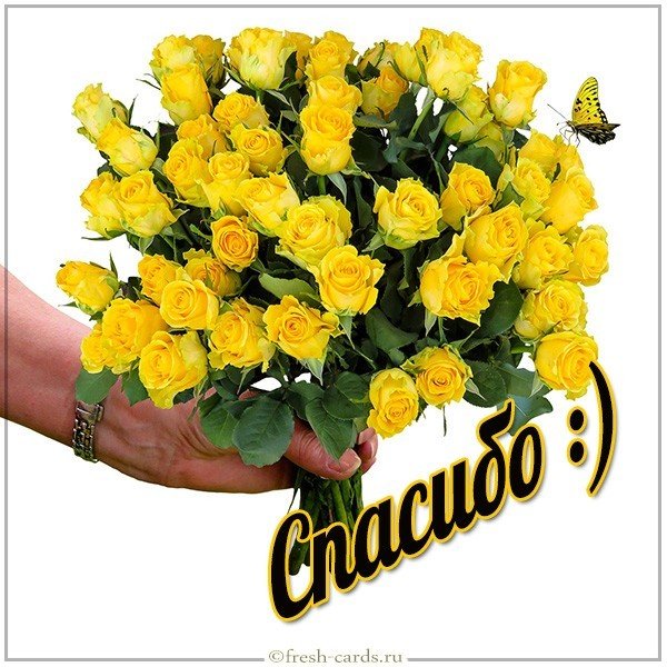 Картинка спасибо женщине
