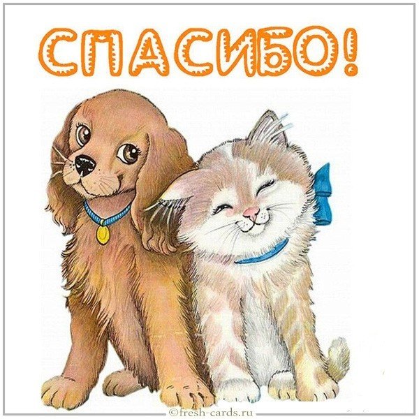 Картинка спасибо