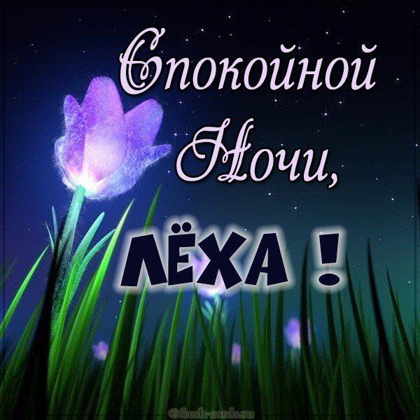 Картинка спокойной ночи Леха