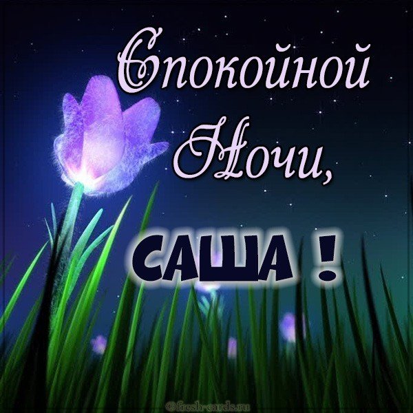 Картинка спокойной ночи Саша