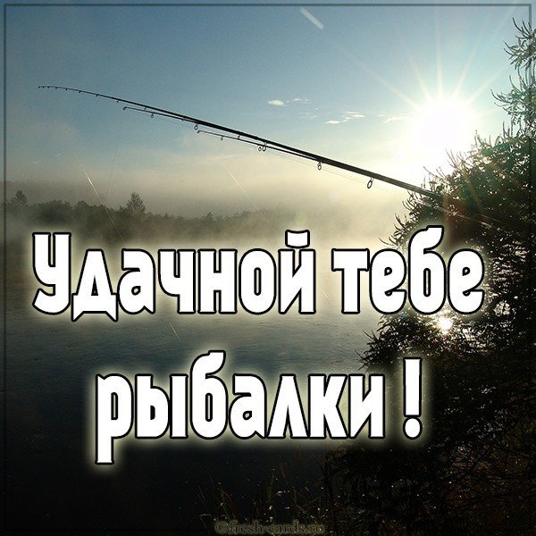 Картинка удачной рыбалки фото