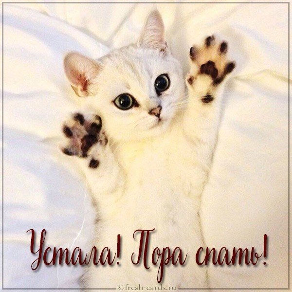 Картинка устала пора спать