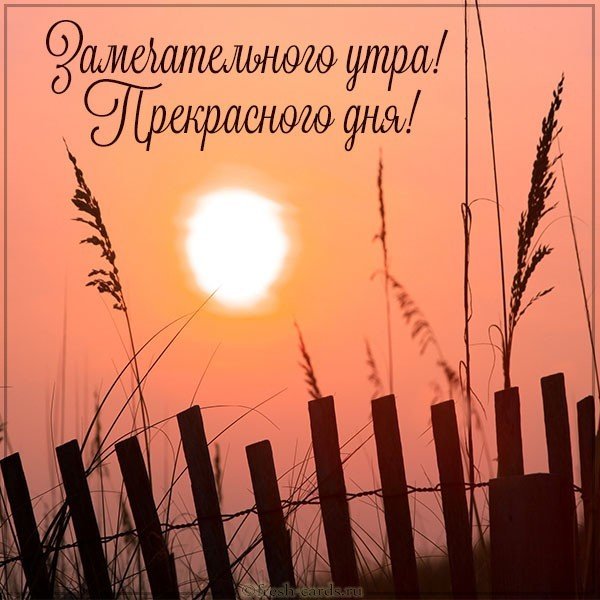 Картинка замечательного утра и прекрасного дня