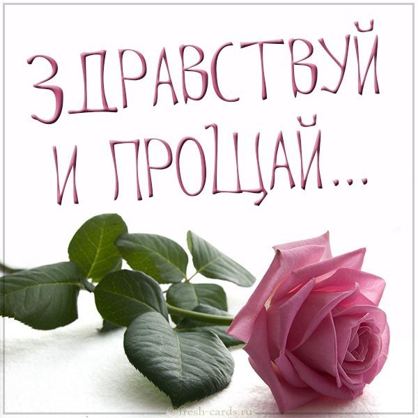 Картинка здравствуй и прощай