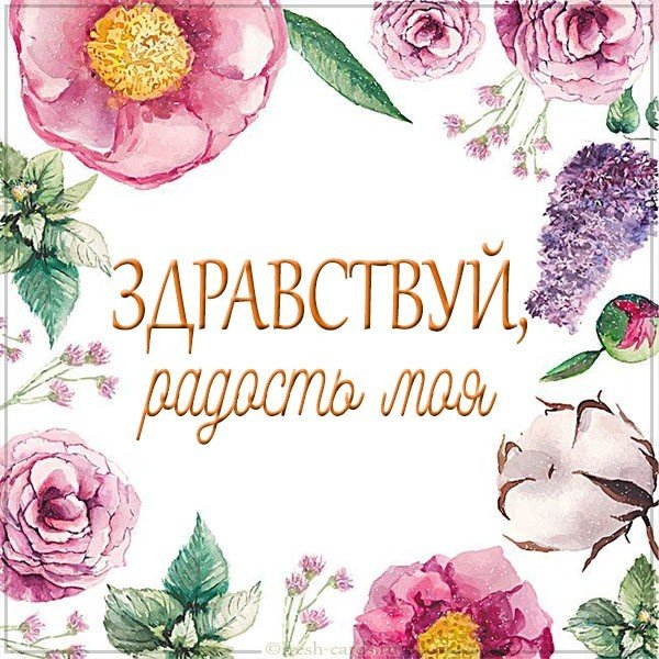 Картинка здравствуй радость моя