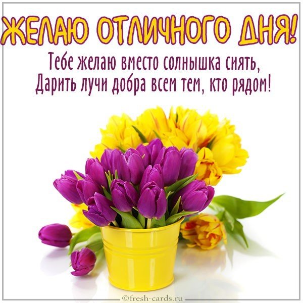 Картинка желаю отличного дня