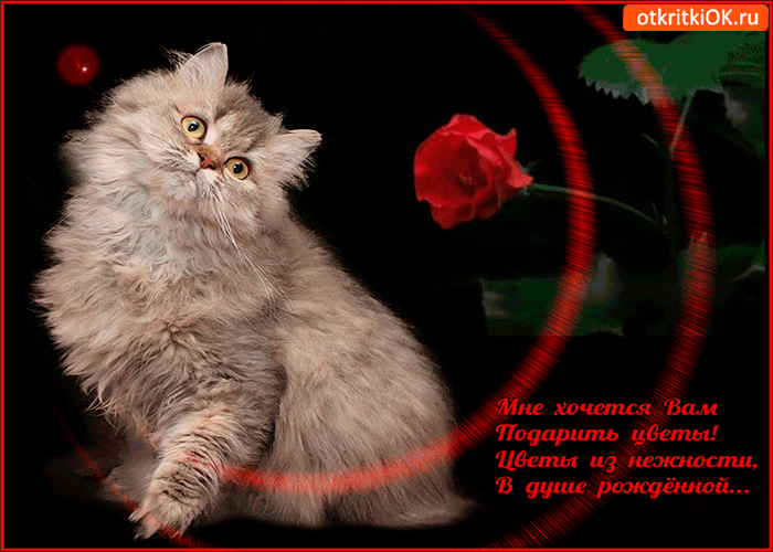 Хочется дарить цветы из нежности