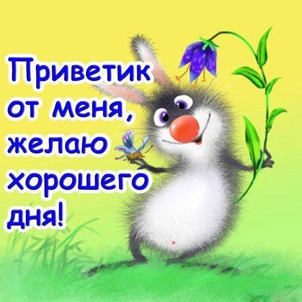 Хорошего вам дня