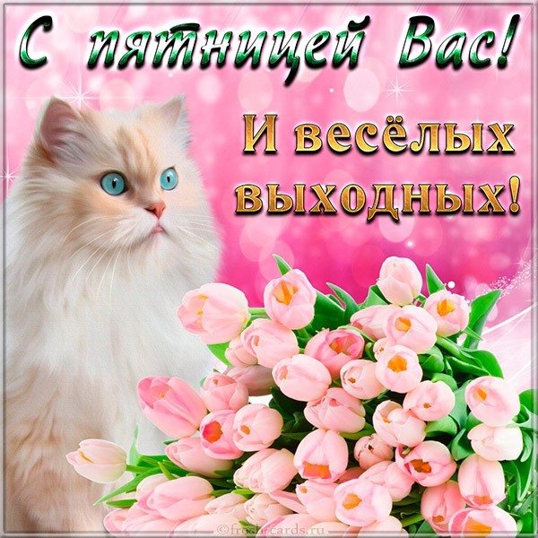 Хорошей пятницы и выходных картинка прикольная