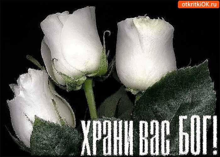 Храни вас Бог друзья