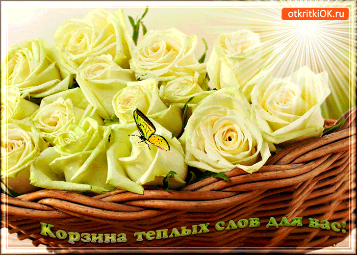 Корзина тёплых слов Корзина тёплых слов