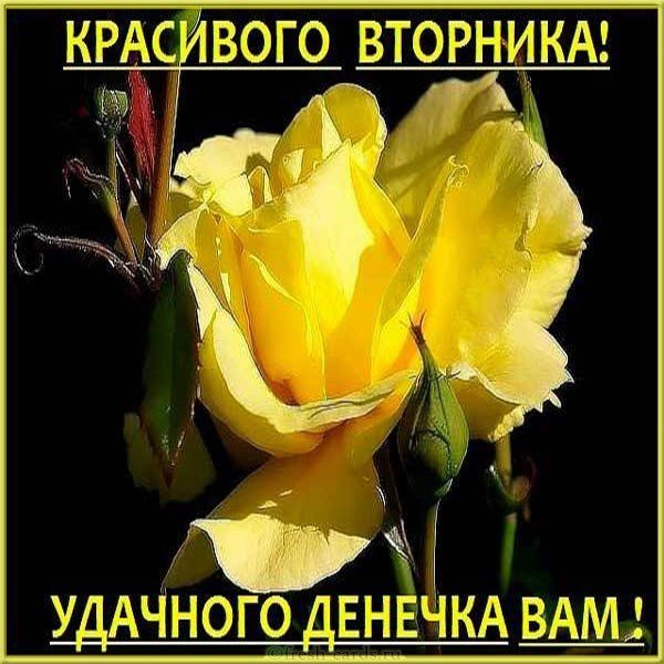 Красивая электронная открытка с днем вторника