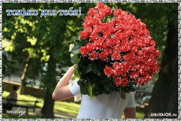 Красивая гиф открытка